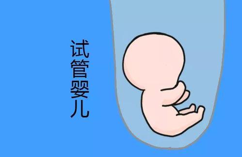 男性因素